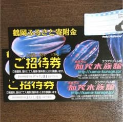 加茂水族館 クラゲ ドリーム館のサムネイル