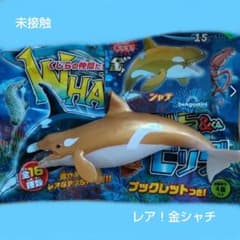 くじら&co 金シャチのサムネイル