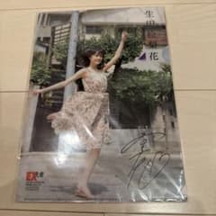 生田絵梨花 サイン入りクリアファイル ポスター付き - メルカリ
