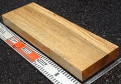 白樫、細かい荒々樫杢多で見栄えあり！樹齢1.5世紀の加工済板。長さ546mm 白樫、細かい荒々樫杢多で見栄あり！樹齢1.5世紀の加工済板。長50cm幅