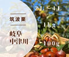 ① 【9月28日夕方採れ】生栗　栗　岐阜県中津川産　筑波　1kg＋約100gのサムネイル