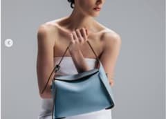 【極美品】giannichiarini　PENELOPE　25年モデル　バッグ 極美品】giannichiarini PENELOPE 25年モデル バッグ - メルカリ