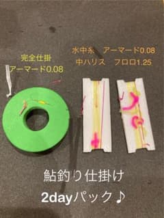 【鮎友釣り仕掛け】2dayパック♪ アーマードF pro+0.08のサムネイル