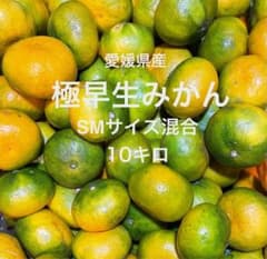 愛媛県産 みかん 極早生みかん S.Mサイズ混合10キロのサムネイル