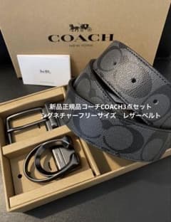 新品正規品コーチCOACH3点セットシグネチャーフリーサイズ レザー
