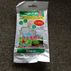 テトラ　熱帯魚　水槽　フィルターのサムネイル