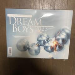 dreamboys パンフレットのサムネイル