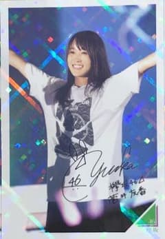 永谷園 欅坂 菅井友香 シークレットノーマルセットのサムネイル