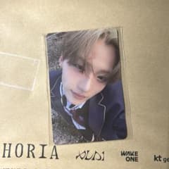 サンウォン ALD1 euphoria pluschat 予約特典トレカ - メルカリ