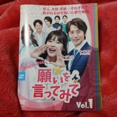 ☆早い者勝ち！　今からセール韓国ドラマ　願いを言ってみてDVD　全40巻のサムネイル