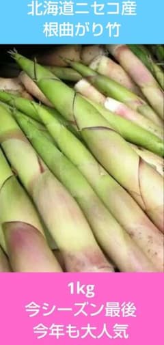 今シーズン最後 北海道道南産 根曲がり竹 1kg - メルカリ