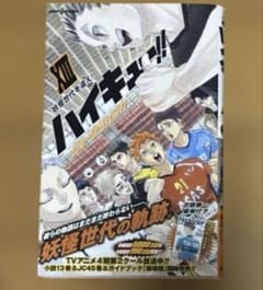 ハイキュー!! ショーセツバン!! 13のサムネイル