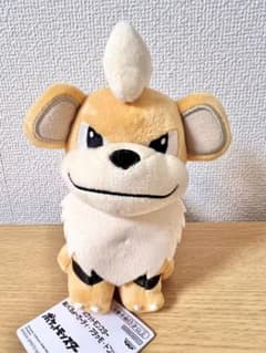 ポケットモンスター ぬいぐるみ～ガーディ・アチャモ・ドンメル～　 ポケモン