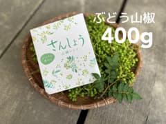 ぶどう山椒（青山椒）400g 和歌山県産　5月下旬から随時発送　レシピ付のサムネイル