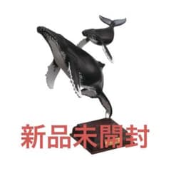 NATURE TECHNI COLOUR 小笠原特装版 ザトウクジラのサムネイル