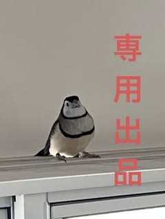 YOIOKAIMONO様専用 ヘパリーゼW プレミアム　100ml×10本×5箱のサムネイル