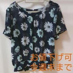 マジェスティックレゴン  半袖シースルー素材のサムネイル