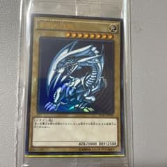 遊戯王 青眼の白龍 ブルーアイズホワイトドラゴン　2018 秘蔵レア　300枚 遊戯王 青眼の白龍 ブルーアイズホワイトドラゴン 2018 秘蔵レア 300枚