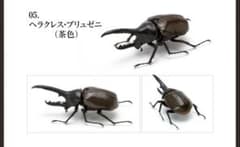 いきもの大図鑑　プリュゼニ茶のサムネイル