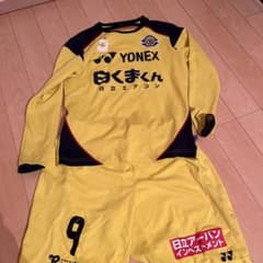 柏レイソルのサムネイル