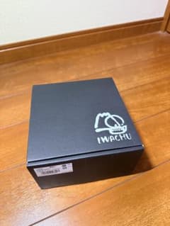 【新品未開封】IWACHU 南部鉄器 5型新アラレ 急須のサムネイル