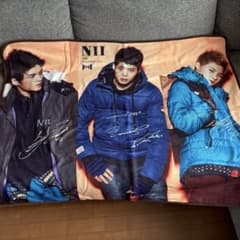 非売品JYJ NII ノベルティグッズ 膝掛けブランケットのサムネイル