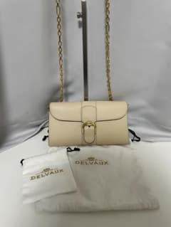 DELVAUX デルヴォー ブリヨン ロング チェーンウォレット 美品 - メルカリ
