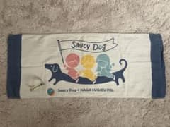Saucy Dog タオル ラバーバンド キーホルダー 缶バッジ Saucy Dog タオル ラババン 缶バッチセット - メルカリ