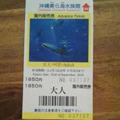 美ら海水族館のサムネイル