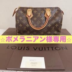 美品 LOUIS VUITTON スピーディ25 モノグラム 旧型 南京錠付き - メルカリ