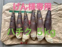 岡山県産 自生たけのこ 5kg 採れたてのサムネイル