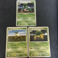 ポケモンカード ナエトル ハヤシガメ ドダイトス 進化ライン 3枚セットのサムネイル