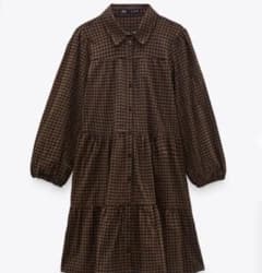ZARA ギンガムチェックシャツワンピースのサムネイル