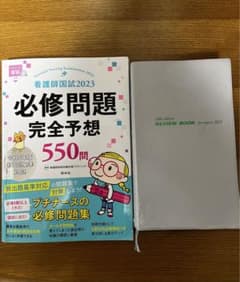 看護師国家試験　レビューブック2023のサムネイル