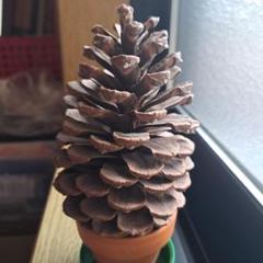 m35557446753_1.jpg?1713754845