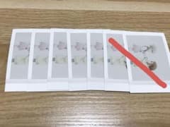 히로아카 파샤 이것 토가히미코 차차 5장 세트