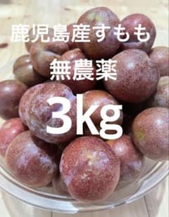 3-1鹿児島産すもも　3㎏　プラム　無農薬　農薬不使用　硬めのサムネイル