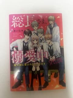 総長さま、溺愛中。～最大級に愛されちゃってます～ SPECIAL 漫画のサムネイル