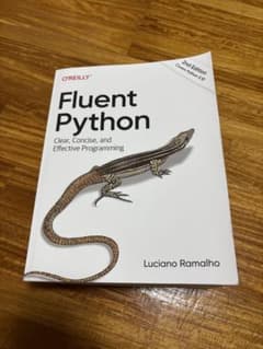 Fluent Python 2nd Editionのサムネイル