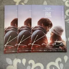 映画 楓フライヤーのサムネイル