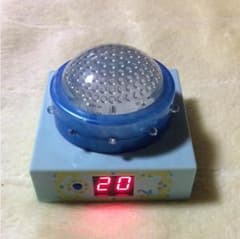トリビアの泉 へぇボタンのサムネイル