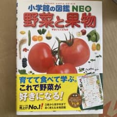 小学館の図鑑neo 野菜と果物のサムネイル
