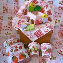 カントリー雑貨❣️多肉植物❣️インコさんBOX❣️デコパージュ(新品)ぷーさん様❣️のサムネイル