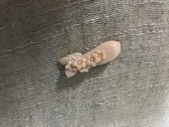 珊瑚ブローチのサムネイル