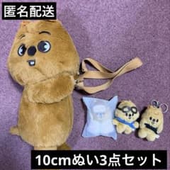 straykids SKZOO PLUSH BAG ぬいぐるみ ハンクオッカ - メルカリ