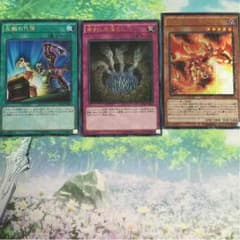 左腕の代償 セットのサムネイル