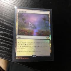 MTG foil 無声開拓地 foilのサムネイル