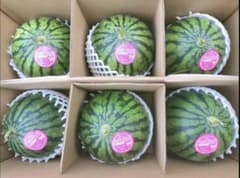 和歌山ピノガール秀良品。М6玉入り 総重量10kg 超 あと1箱！和歌山ピノガール秀良品。М6玉入り 総重量10kg 超 - メルカリ