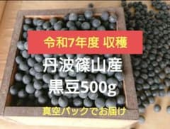 令和7年度収穫 丹波篠山産 黒豆 500gのサムネイル
