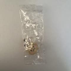 TRUZ 第1弾 めじるしアクセサリー RURUのサムネイル